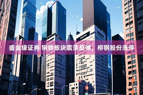 盛金缘证券 钢铁板块震荡反弹，柳钢股份涨停
