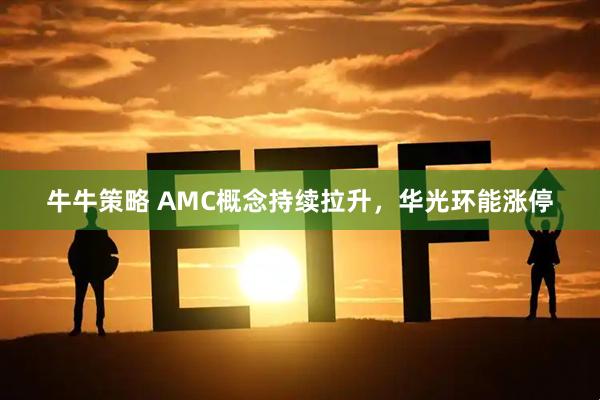 牛牛策略 AMC概念持续拉升，华光环能涨停