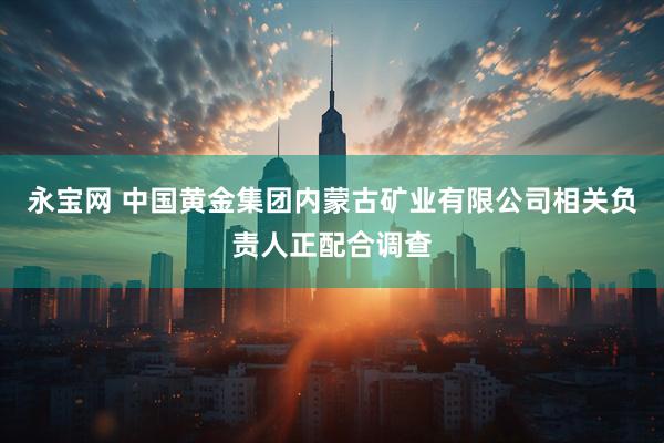 永宝网 中国黄金集团内蒙古矿业有限公司相关负责人正配合调查