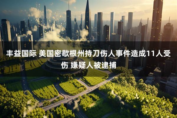 丰益国际 美国密歇根州持刀伤人事件造成11人受伤 嫌疑人被逮捕