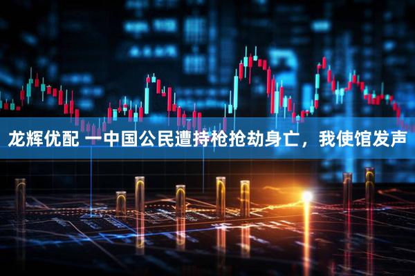 龙辉优配 一中国公民遭持枪抢劫身亡，我使馆发声