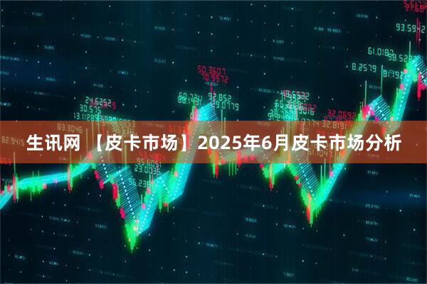 生讯网 【皮卡市场】2025年6月皮卡市场分析