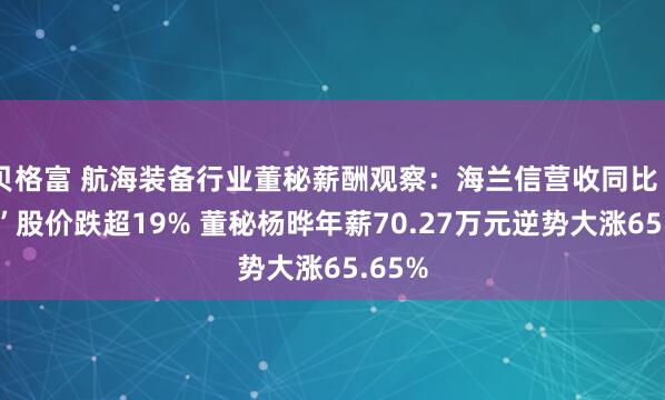 贝格富 航海装备行业董秘薪酬观察：海兰信营收同比“腰斩”股价跌超19% 董秘杨晔年薪70.27万元逆势大涨65.65%