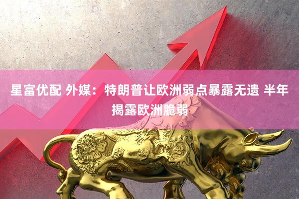 星富优配 外媒：特朗普让欧洲弱点暴露无遗 半年揭露欧洲脆弱