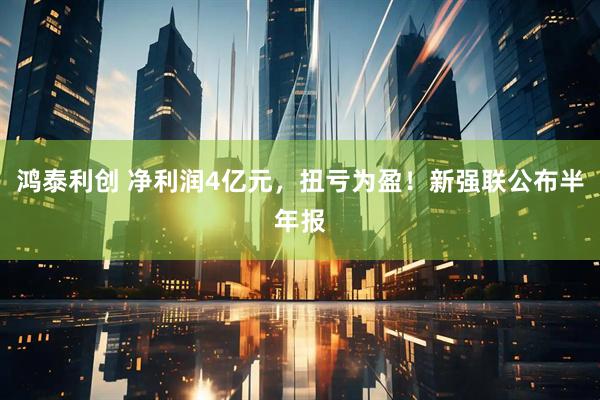 鸿泰利创 净利润4亿元，扭亏为盈！新强联公布半年报