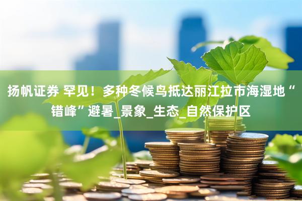 扬帆证券 罕见！多种冬候鸟抵达丽江拉市海湿地“错峰”避暑_景象_生态_自然保护区
