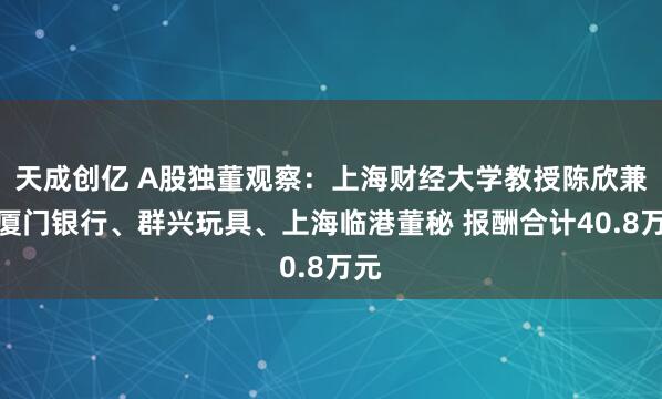天成创亿 A股独董观察：上海财经大学教授陈欣兼任厦门银行、群兴玩具、上海临港董秘 报酬合计40.8万元