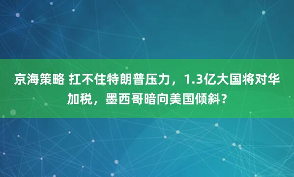 京海策略 扛不住特朗普压力，1.3亿大国将对华加税，墨西哥暗向美国倾斜？