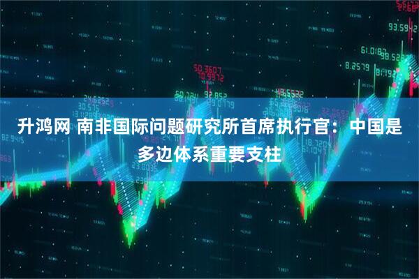 升鸿网 南非国际问题研究所首席执行官：中国是多边体系重要支柱