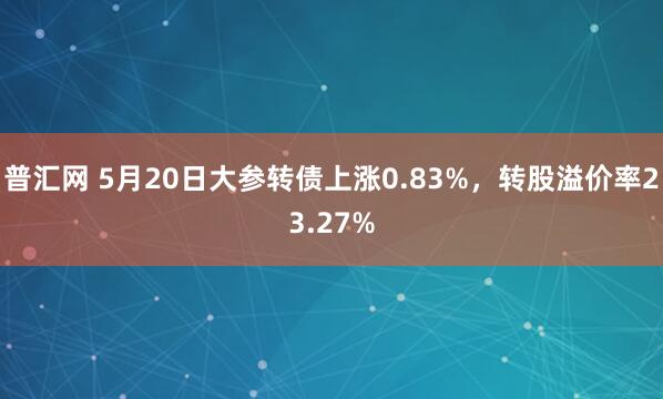 普汇网 5月20日大参转债上涨0.83%，转股溢价率23.27%