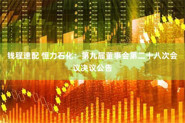 钱程速配 恒力石化：第九届董事会第二十八次会议决议公告